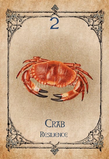Crab card from the animal spirit oracle deck