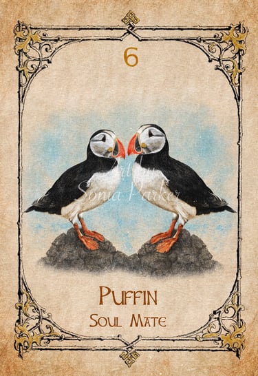 Puffin, a card from the animal spirit oracle deck