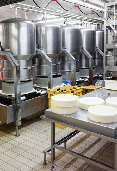 cheese making modern factory