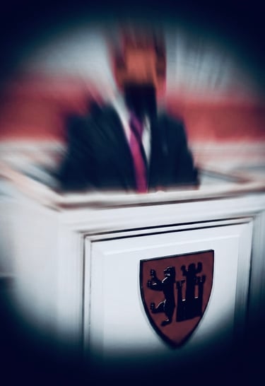 Salah Hassan Al Saad, Qatranada Adnan Abdulhussein, Fredrikstad Kommune bystyret, Styrer, råd og utvalg, 