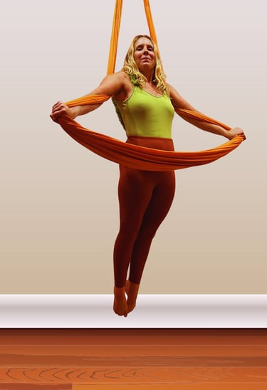 Aerial Hammock Classes long Island Adult Classes
