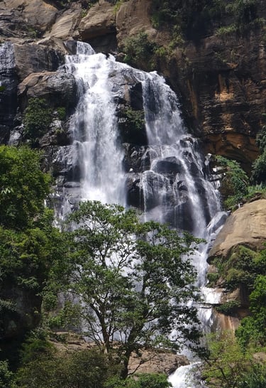 a waterfall in the middle of a forest