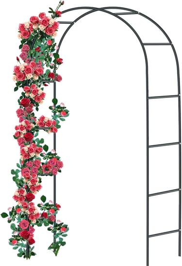 Black metal garden arch trellis decorated with climbing pink and red roses for wedding outdoor events.