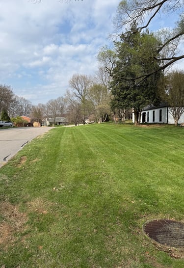 <iframe src="https://drive.google.com/file/d/16phz3t01QwXkcotiZsTjVpT87y7fAJCe/preview" width="100%"