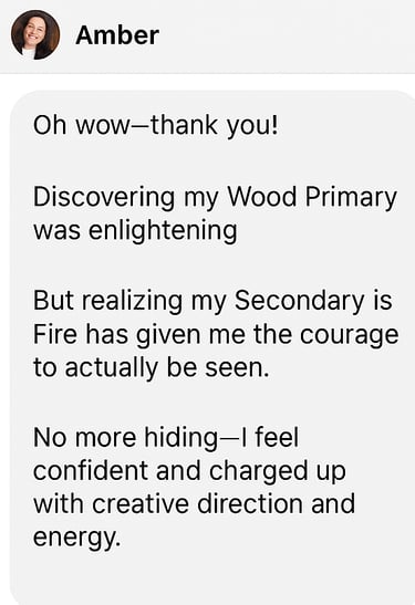 DM screenshot of Wood + Fire Archetype – Visionary entrepreneur celebrates discovering her strategic dual archetype