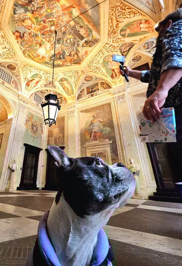 Yoki looking up at the fresco ceiling of a UNESCO palace in Genoa.