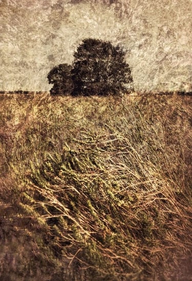 Quintessence No.3 by Martin Osner — atmospheric art tree photography print featuring layered textures and windswept grasses