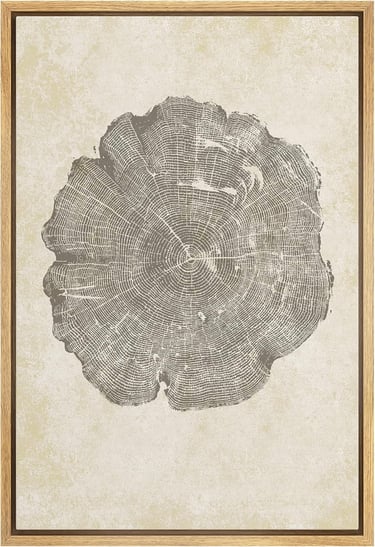 Framed Canvas Print Wall Art Wood Tree Rings