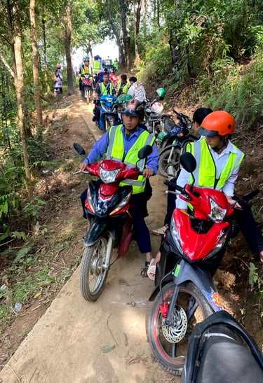 motorbike traffic to bamboo forest
