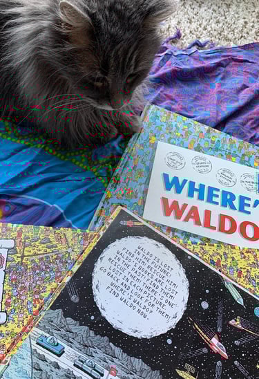 a longhaired grey cat sitting on a colorful scarf and looking at Where's Waldo books