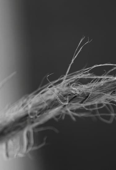 5 Clasificado BN noviembre 2025