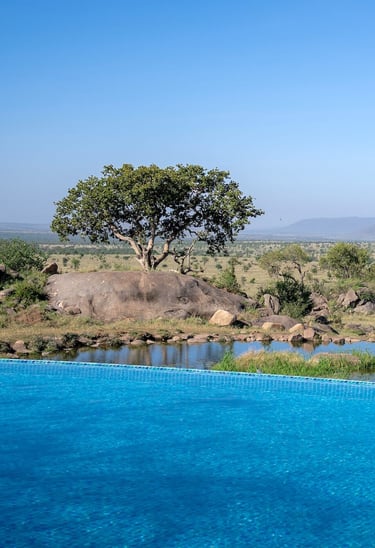 Four Seasons Serengeti pool