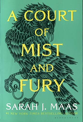 Book cover of A Court of Mist and Fury by Sarah J. Maas, featuring bold, stylized typography