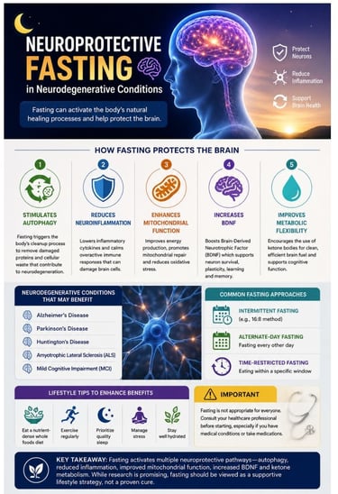 🌙Neuroprotective Fasting in Neurodegenerative Conditions🧠