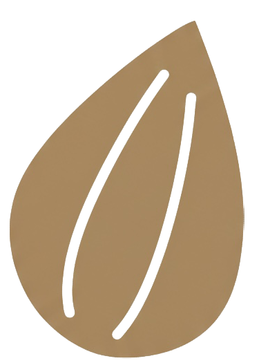 SEED Early Childhood Seed Logo