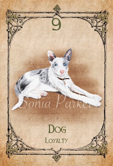 Dog, a card from the animal spirit oracle deck
