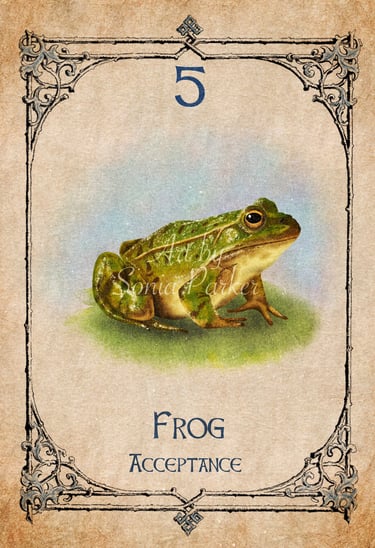 Frog card from the animal spirit oracle deck