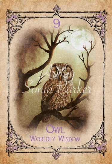 Owl card from the animal spirit oracle deck