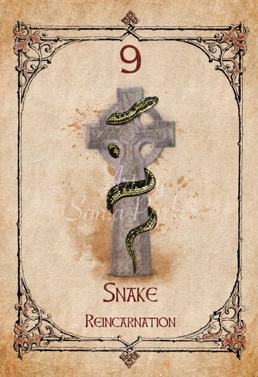 Snake card from the animal spirit oracle deck