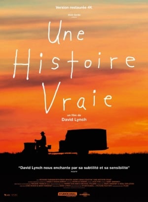 une_histoire_vraie_david_lynch_wikicine_streaming_cinepedia_boutique