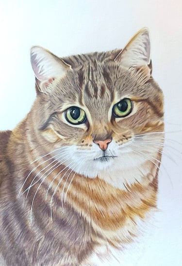 Realistic hand drawn pet portrait of a tabby cat with green eyes