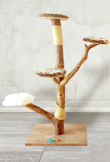 a cat tree with a cat scratching scratching scratching scratching board