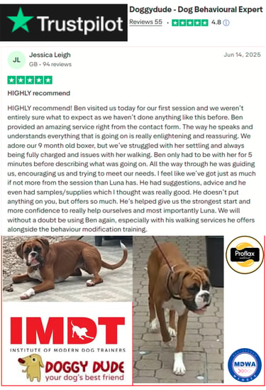 Customer recommendation for Doggy Dude dog behaviour training and reactive dog modification.