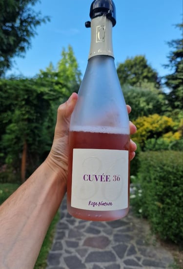 Metodo classico 36 mesi rosè Casa Caterina Franciacorta per carta vini