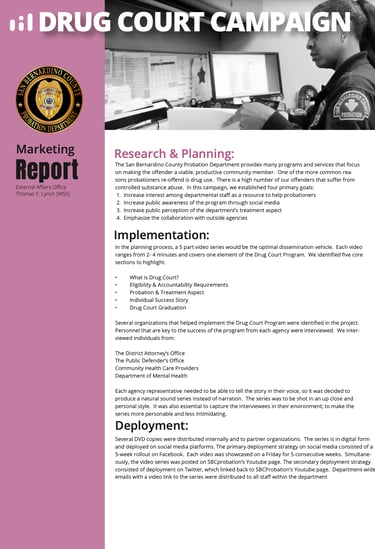 San Bernardino Drug Court Program, San Bernardino Probation, 
