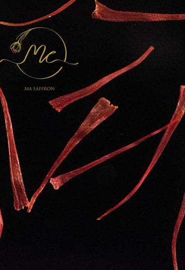 pistilo de acafrao saffron iraniano