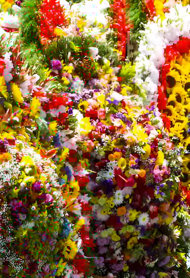 feria de flores