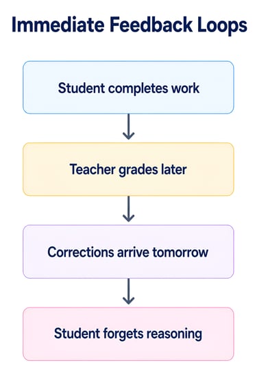 Immediate Feedback Loops