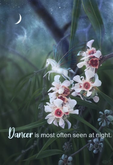 Fairy horse in the moonlight