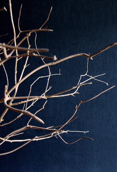 sculpture bois nature arbre