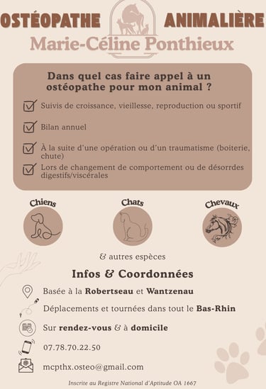 affiche ostéopathe