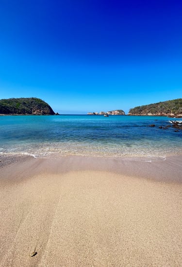 Tour a Careyes saliendo desde Puerto Vallarta