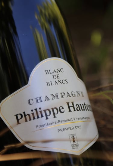 Champagne Blanc de Blancs du Champagne Philippe Hautem