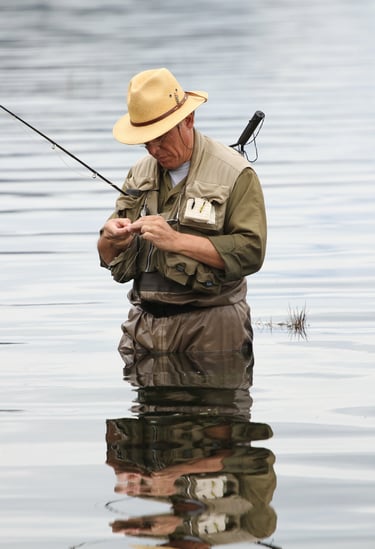 Marcos cambiando el tamaño de la mosca 