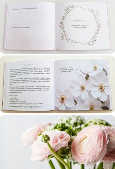 Unutrašnjost dnevnika 2