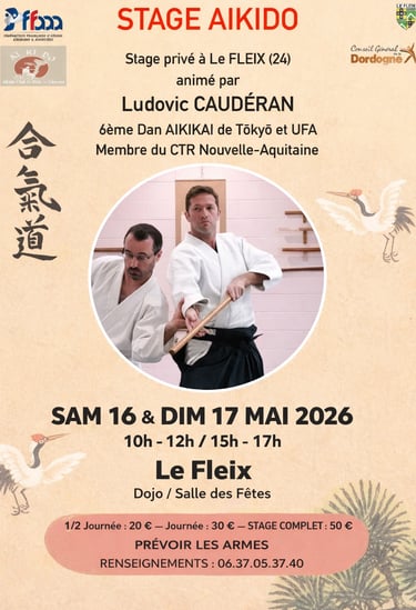 stage d'Aïkido Mérignac Matsukazé