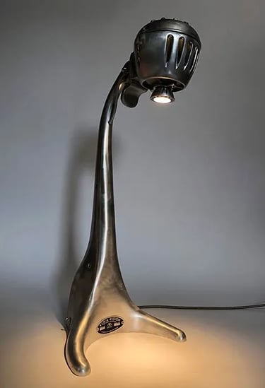 Custom light made from vintage microscope with long neck.