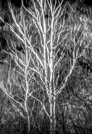 Séries Miroirs ©JM Huriot