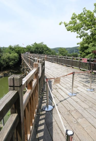 dmz-korea-ponte-della-liberta