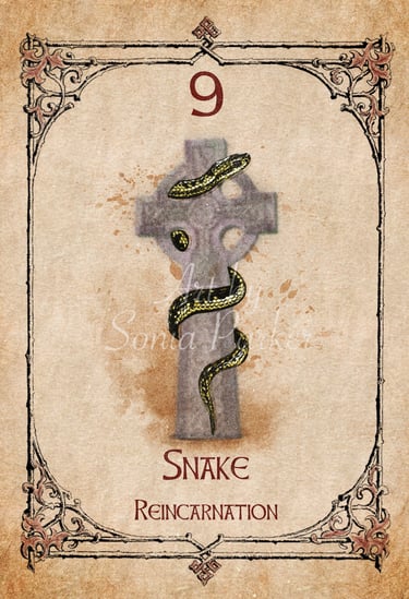 Snake card from the animal spirit oracle deck