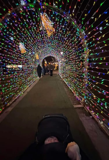A magical walk-through tunnel decorated with thousands of twinkling multi-colored fairy lights at th