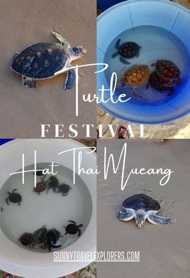 TURTLE RELEASING FESTIVAL THAI MUEANG KHAO LAK PHANG THAILAND