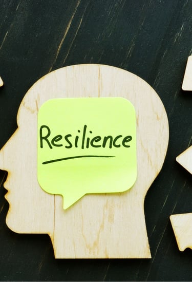 Building Resilience: Managing Stress in Professional Environments