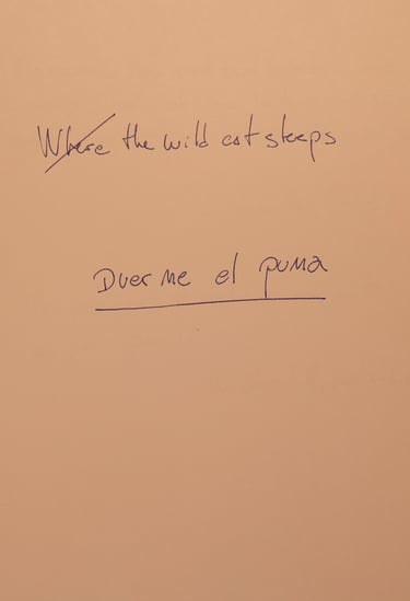 Hoja Borrador: Where the Wild Cat spleeps. Abajo: Duerme el puma.