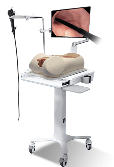 Endoscopic Operation Training