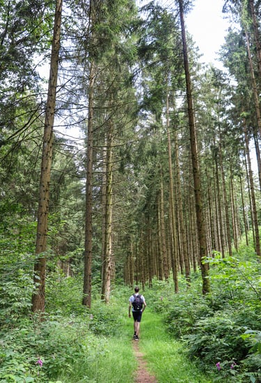 Escarpardenne Lee wandelroute